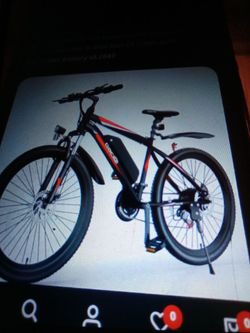 Electric bike