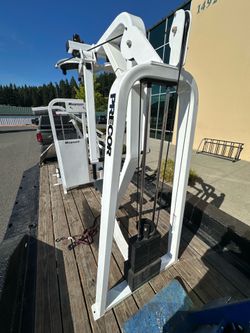 Precor/icarian pec Dec rear delt combo