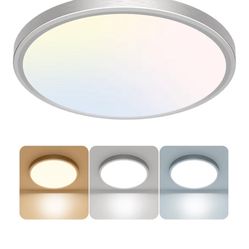 12” LED Ceiling Light 