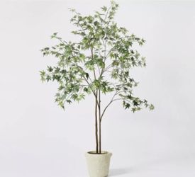 6 Ft. Artificial Faux Maple Tree -Threshold designed w Studio McGee