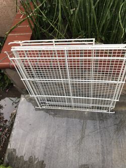 Shelf