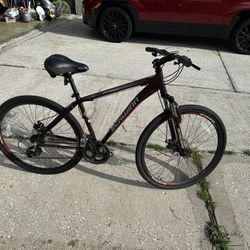Schwinn Dual Sport Bike