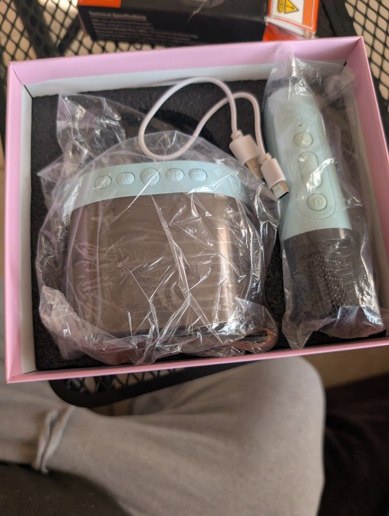 Mini Karaoke With 2 Microphones