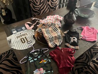 Pet clothes