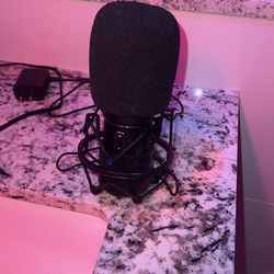 Microphone