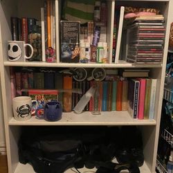 Bookshelf For Sale (Nothing Included)