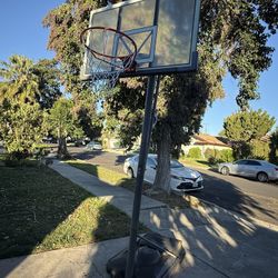 Basketball Hoop 