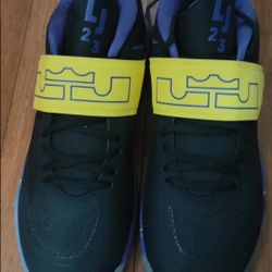 Newly purchased and tried on Nike James Ambassador 12th generation basketball shoes once