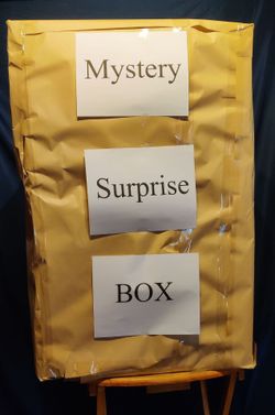 Mystery box of guy stuff. Price drop.