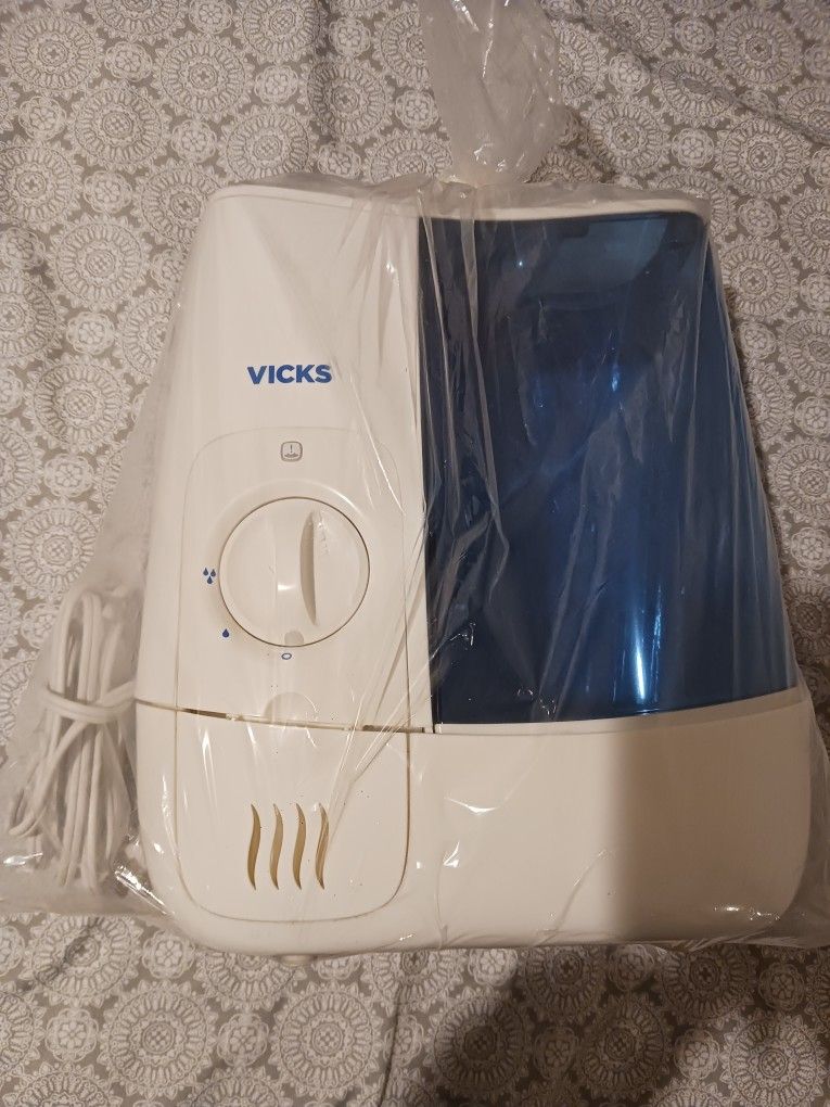 Vick Steamer New