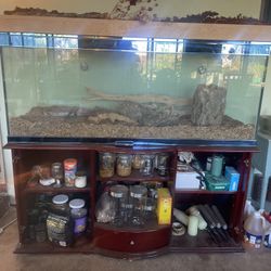 Very large aquarium with stand