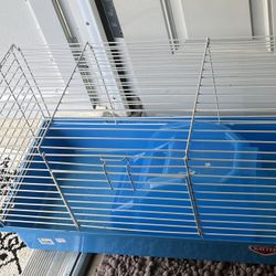 Bunny, Cage ,x