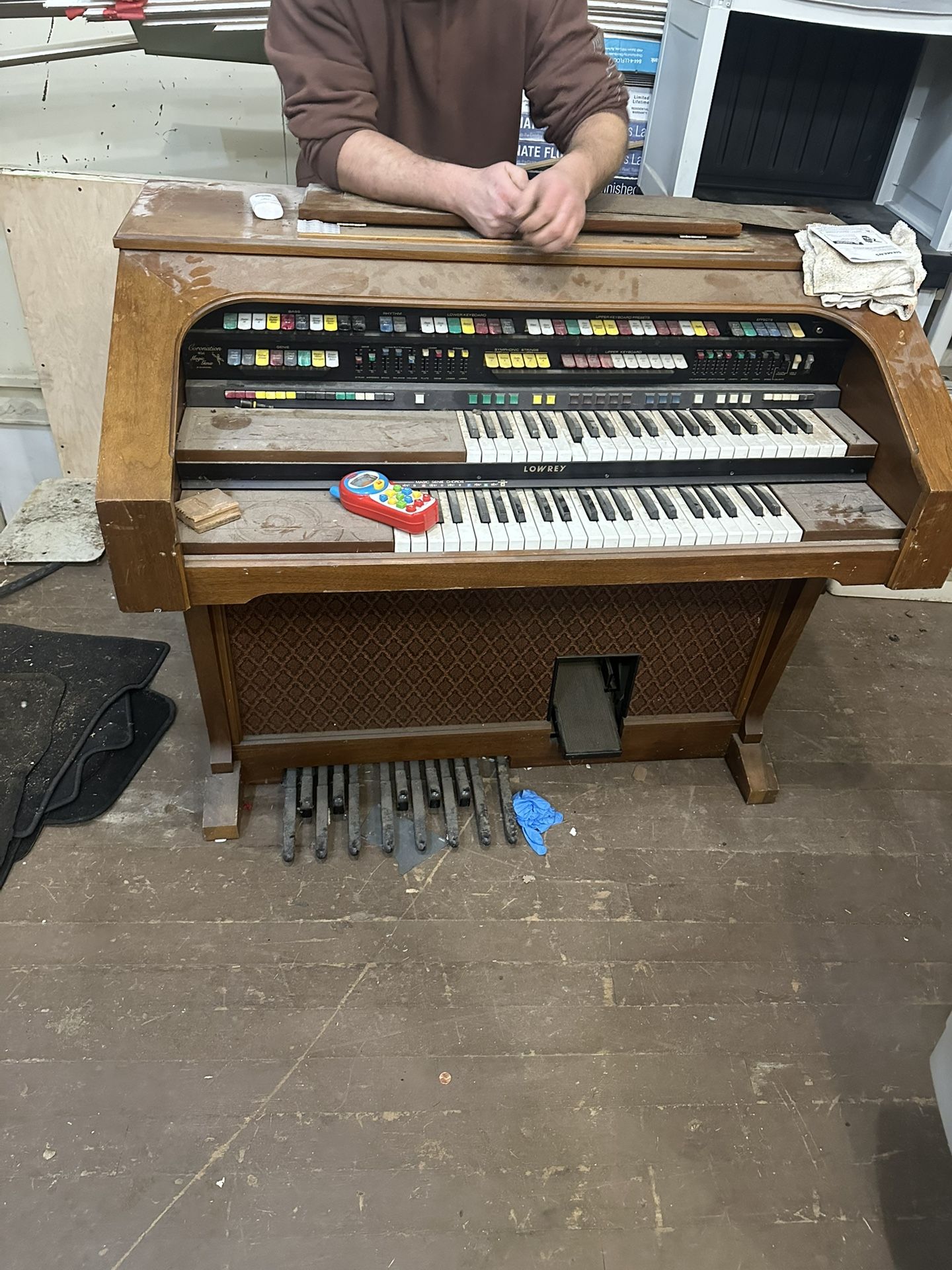 Organ