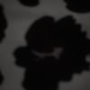Justin.P
