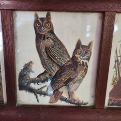 Charming Antique Bird Picture 