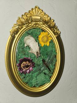 Oddity Art Pieces