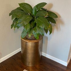 Gold End Table