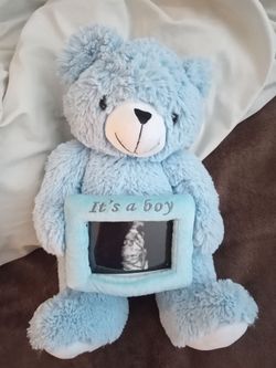 Blue stuff bear animal pregnancy pictures