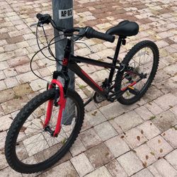 Nishiki Pueblo 24 Kids Bike