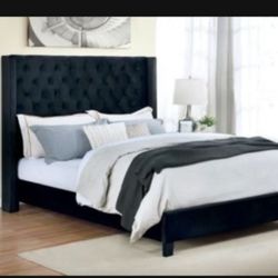 Queen Size Black Wingback Tufted Bed W Ortho Mattress 
