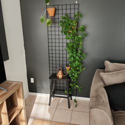 Wall Grids And Plants