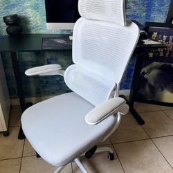 ergonomic office chair featuring a breathable mesh back and flip-up armrests.  