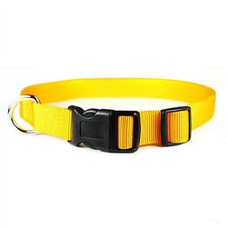 NEW yellow orange mango dog pet collar supplies 