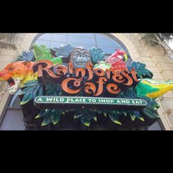 Professional Airbrush Artist