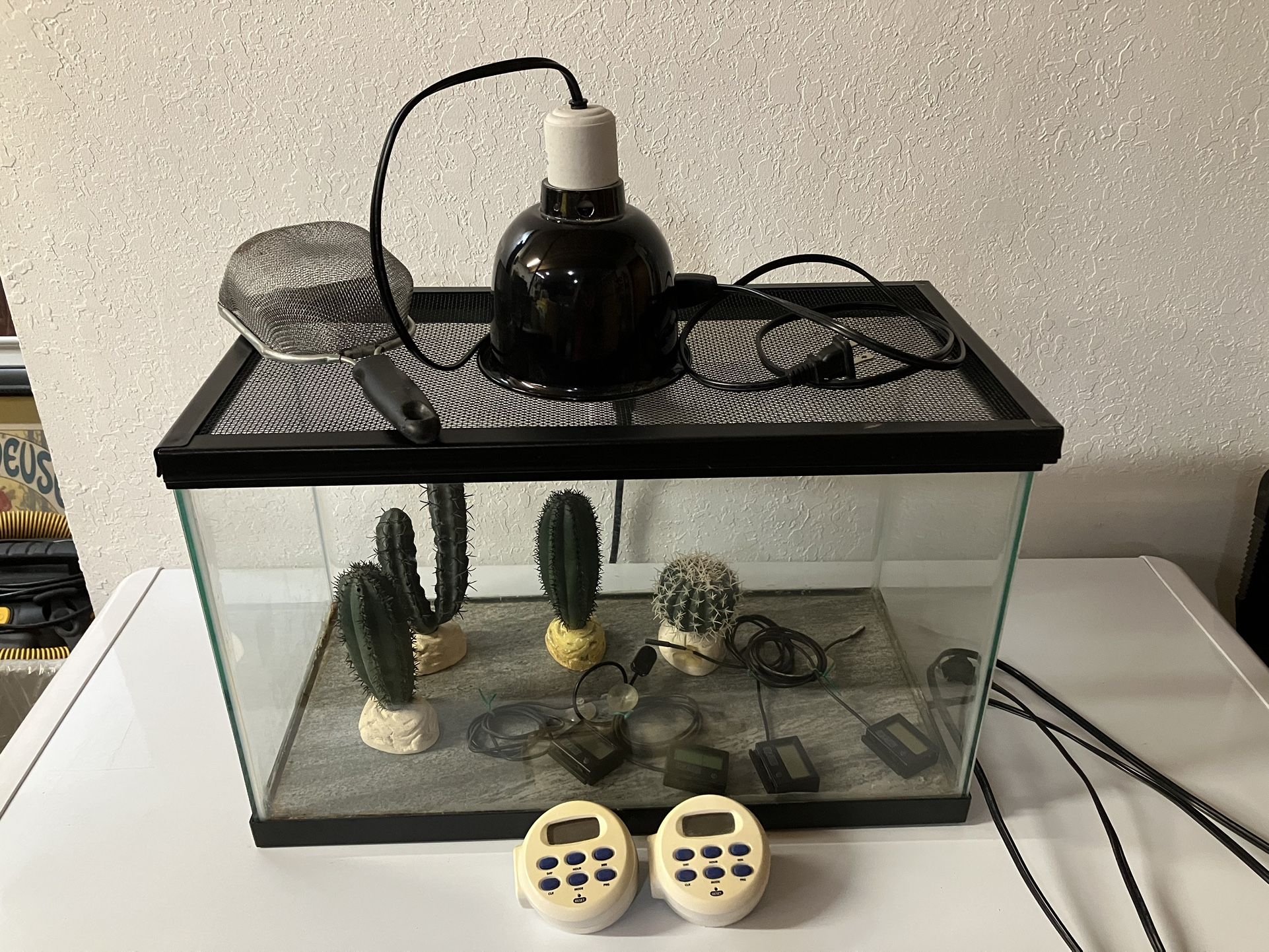 10 Gallon Glass Reptile Terrarium Setup
