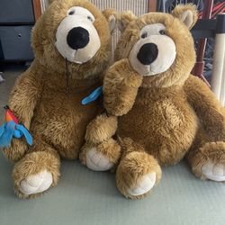 Brown  Teddy Bears