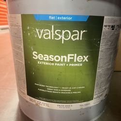Valspar SeasonFlex Paint + Primer