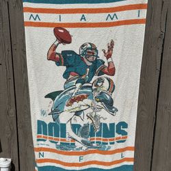 Miami Dolphins 