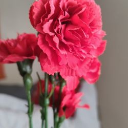 Red Silk Carnations