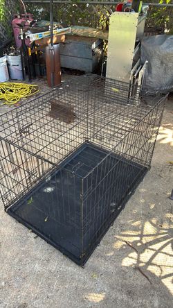 Dog kennel
