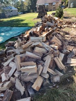 Firewood