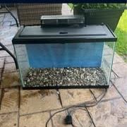 20 gallon fish tank