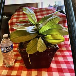 Artificial Plant In Nice Pot 