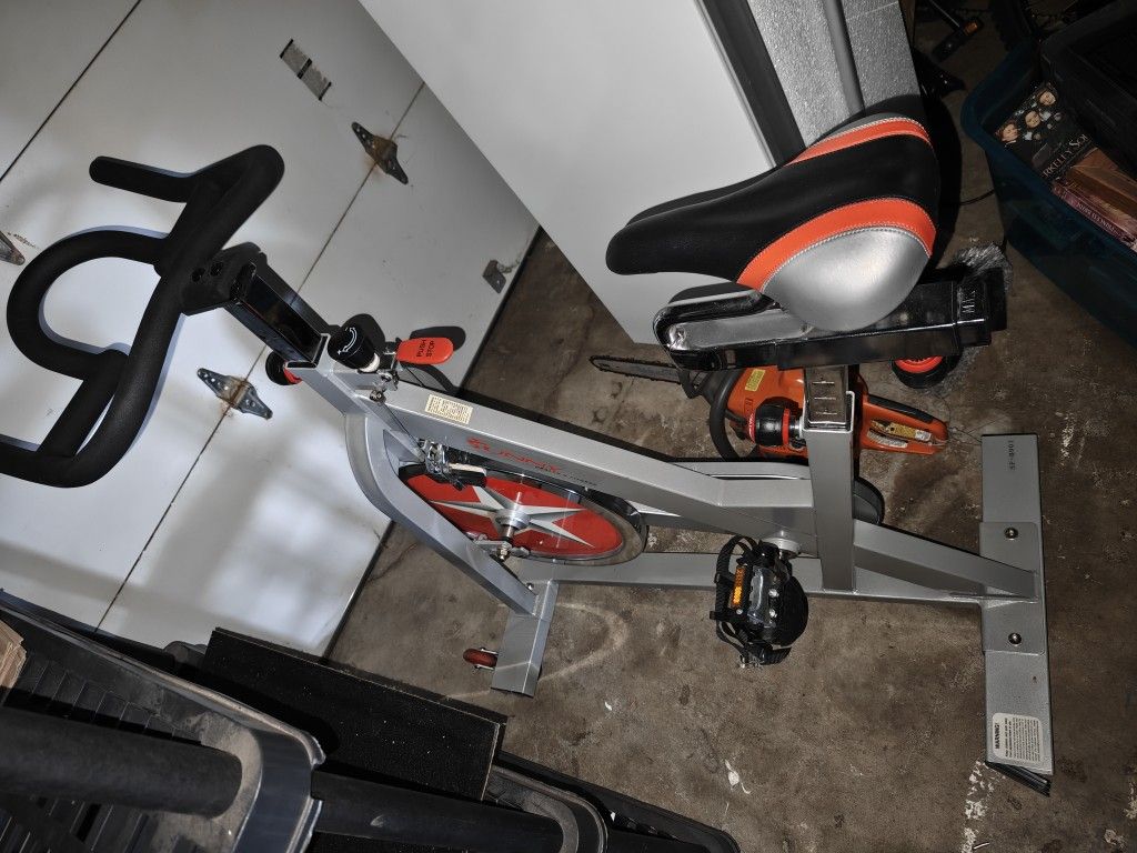 Sunny Exercise Bike