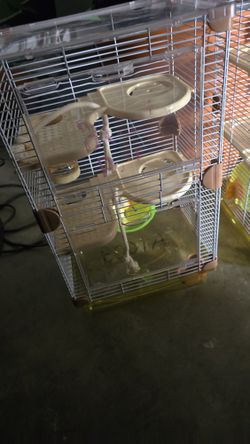 Hamster Cage
