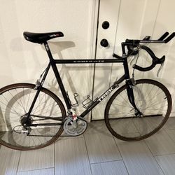 Trek Carbon Bike size 62cm