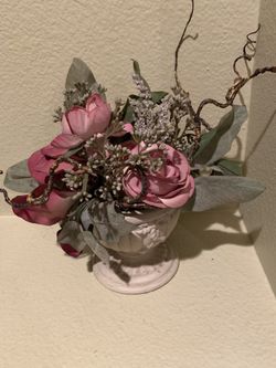 Decorative flower plant