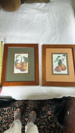 Fruit Pear Framed Artwork