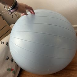 Exercise/therapy Ball