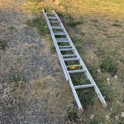 Ladder