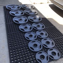 Weights With Weight Holder 