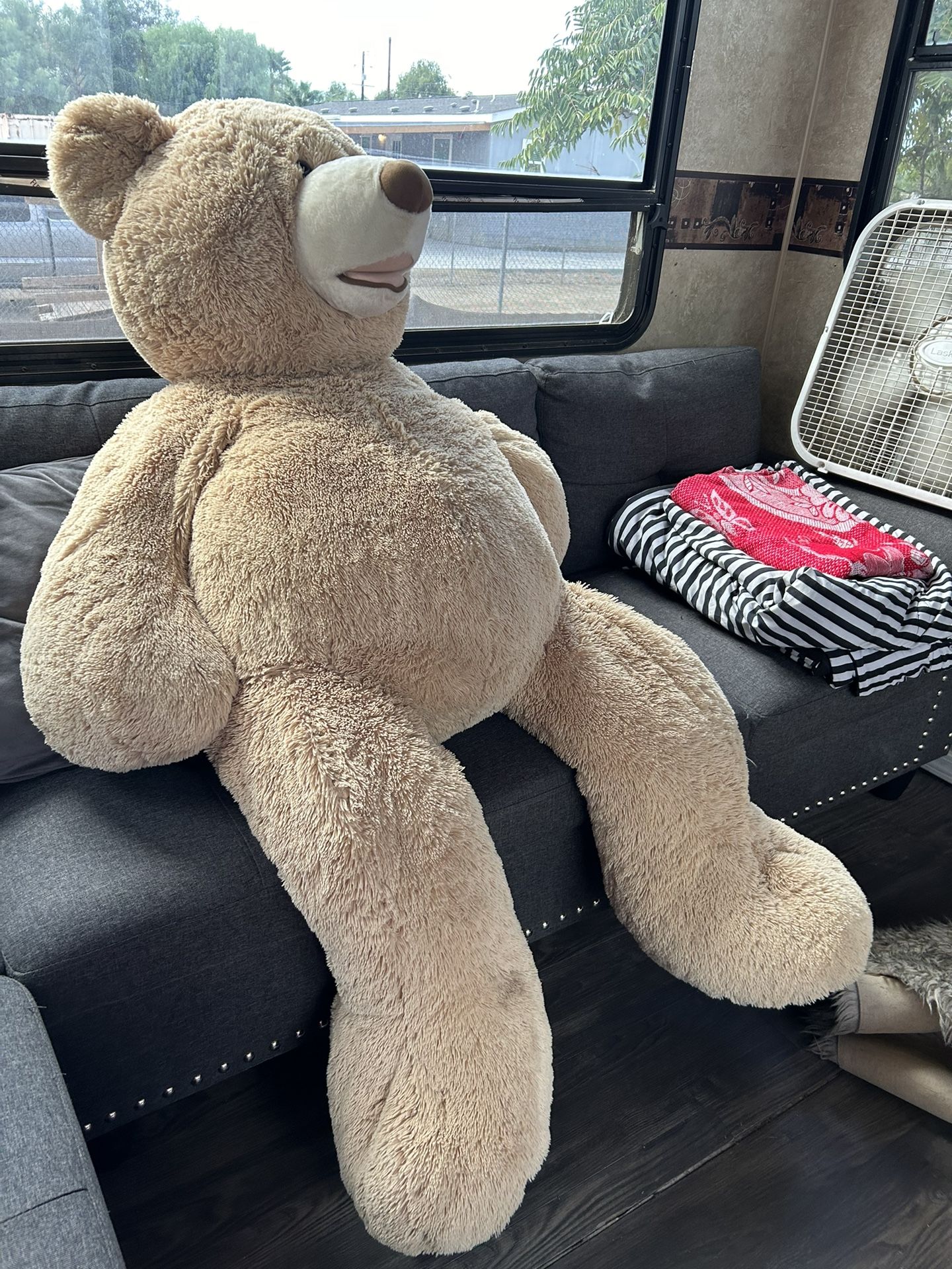 Jumbo Teddy Bear
