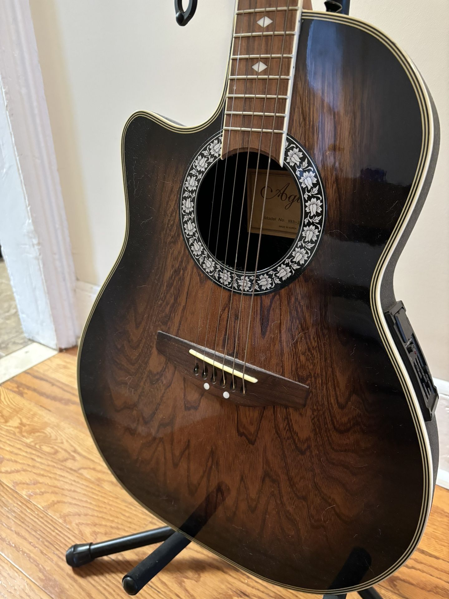 Acoustic-Electric Custom Agile Guitar (Left-Handed)