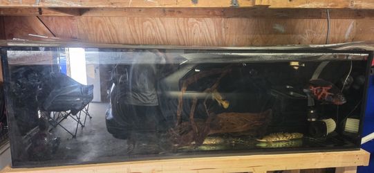 210g
