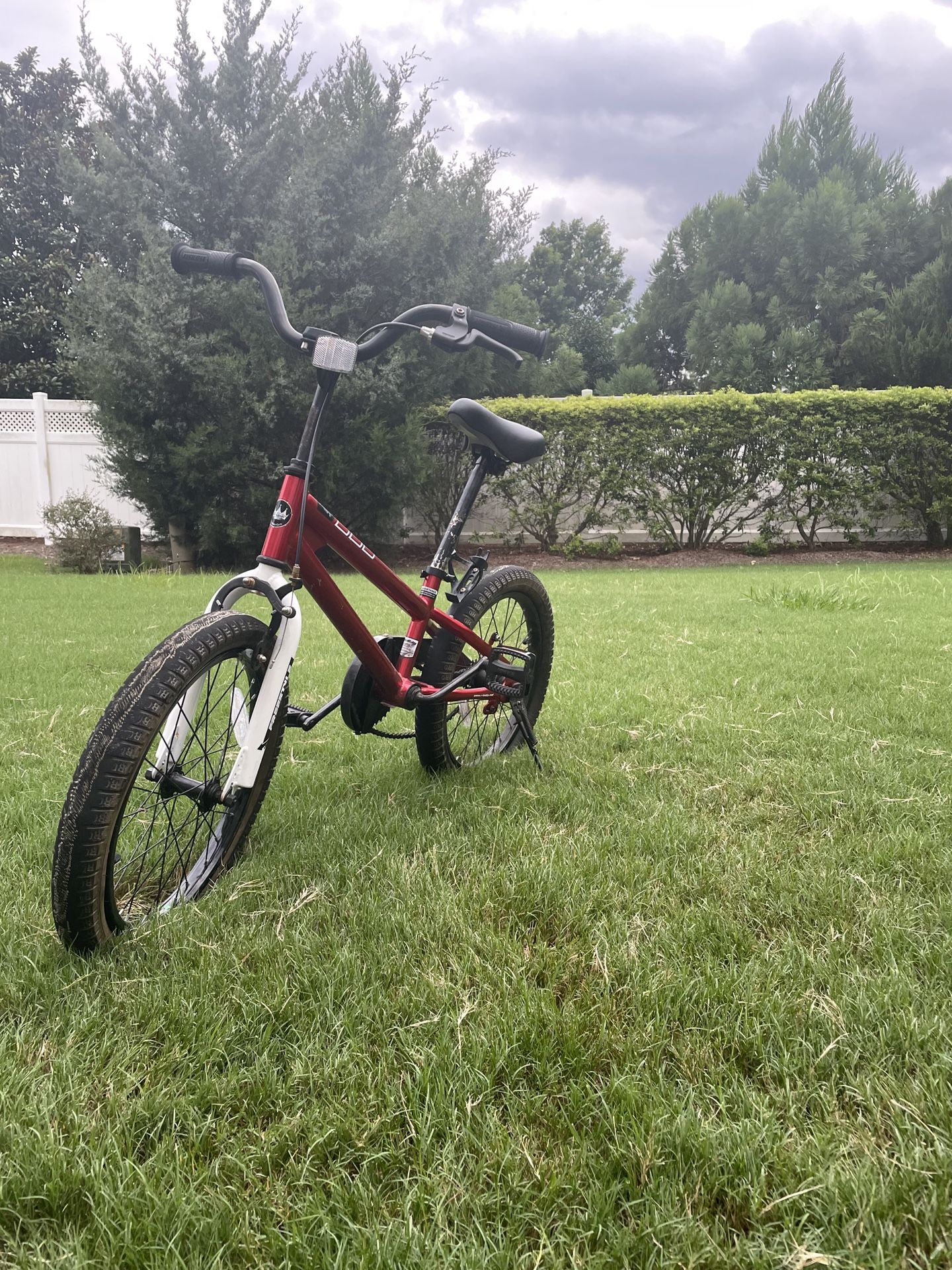 RoyalBaby Kids Bike EZ Freestyle Training Free Balance to Pedal Easy Learning Bicycle