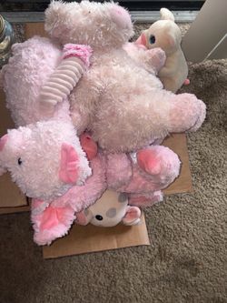 Pig plushies